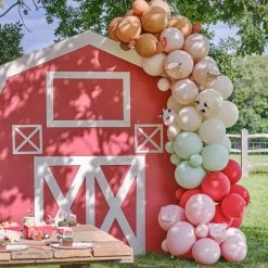 Ballonbue - Bondegård Fødselsdag