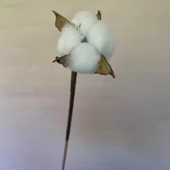 Bomuldsstilk