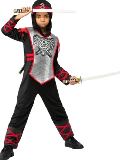 Drage Ninja