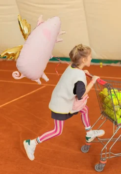 Flyvende Gris Ballon