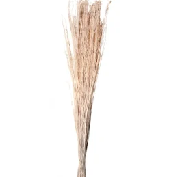 Hvide Yanagi Grene 110 cm, 200gr