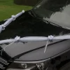 Hvidt pynt til bilen