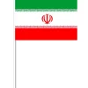 Iransk Papirflag på Pind, 27 x 20 cm