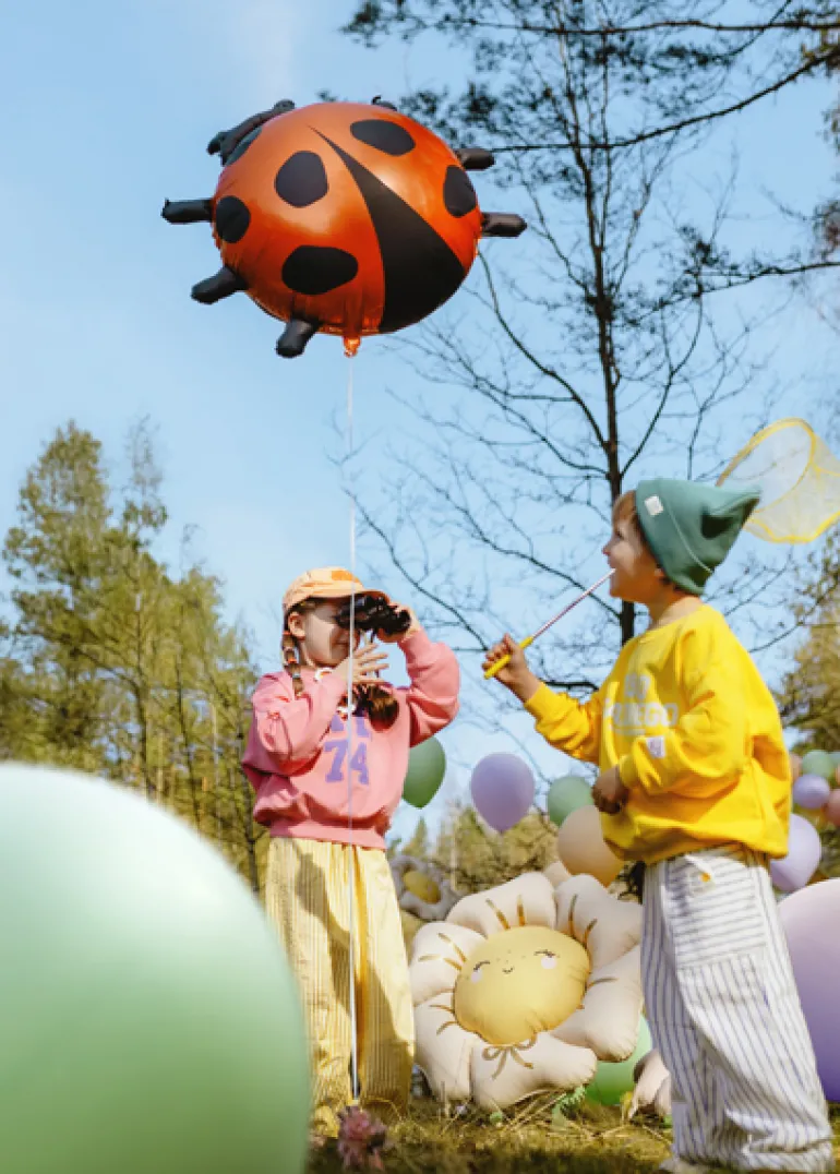 Mariehøne Folie Ballon, 85 X 83 cm, Mix