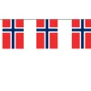 Norsk Flagguirlande, Stor