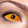 Orange Sclera Linser, 6 mdr.