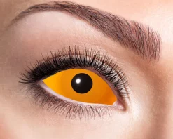 Orange Sclera Linser, 6 mdr.