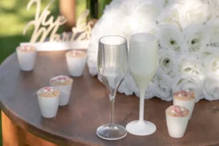 Plastik Champagneglas