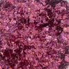 Revet Konfetti - Holografisk Pink, 14gr