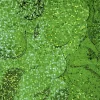 Rund Holografisk Grøn Konfetti 1 cm, 14gr