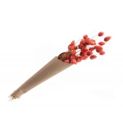 Tørret Lyserødt Kanariegræs 60 cm, 35gr