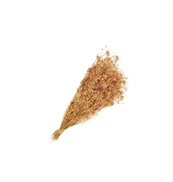 Tørret Natur Græs 60 cm, 100gr