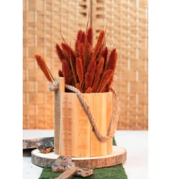 Tørret Rød Kolbehirse 74 cm, 100gr