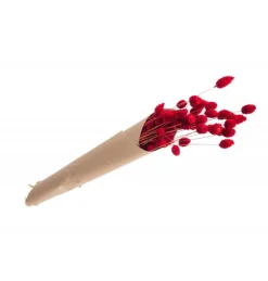 Tørret Rødt Kanariegræs 60 cm, 35gr