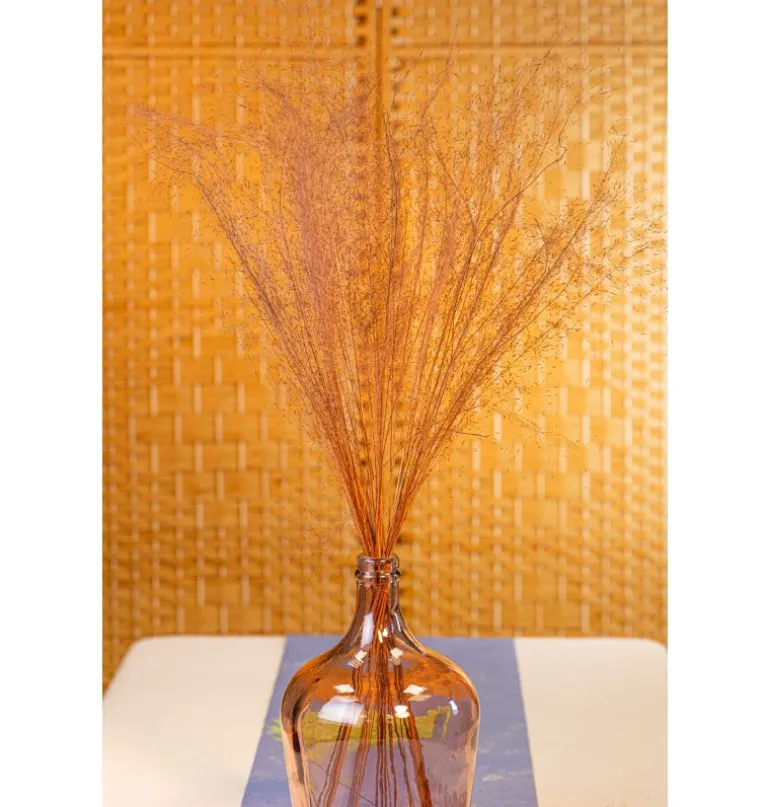 Tørret Terracotta Pohuehue 85-90 cm, 50 stk.